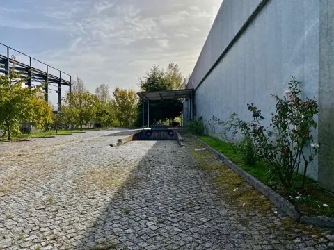 img_14