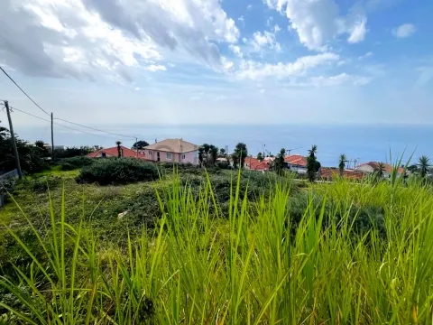 Terreno para Construção nos Prazeres, Calheta