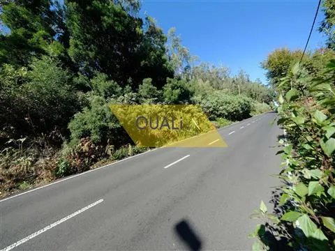 Terrain rustique à Santo da Serra - Madère - € 135.000,00