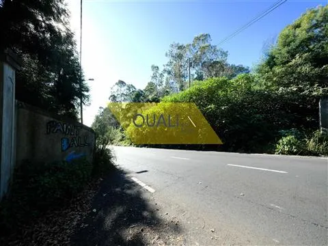 Terrain rustique à Santo da Serra - Madère - € 135.000,00