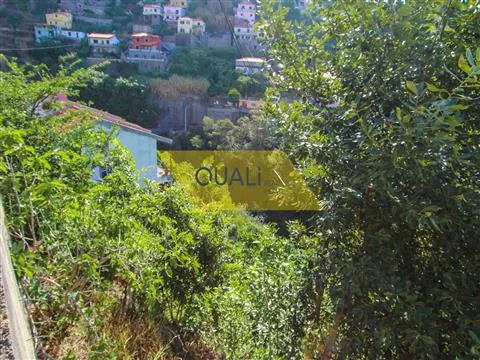 Terreno no Funchal - Ilha da Madeira -  € 110.000,00