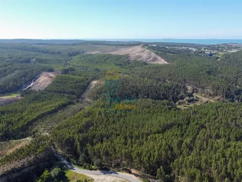 Terreno com 72ha perto da Lagoa de Óbidos