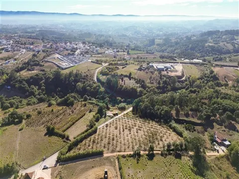 Terreno com 1,3 Hectares e Poço – Cela Nova, Alcobaça
