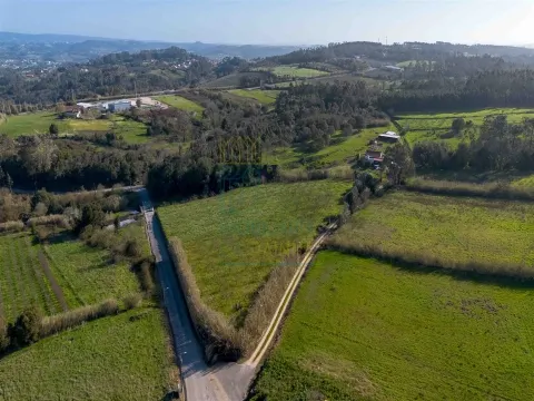 Terrain de 13 000 m² à Cela Nova, Alcobaça