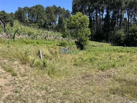 Terreno para Venda em Borbela – Vila Real