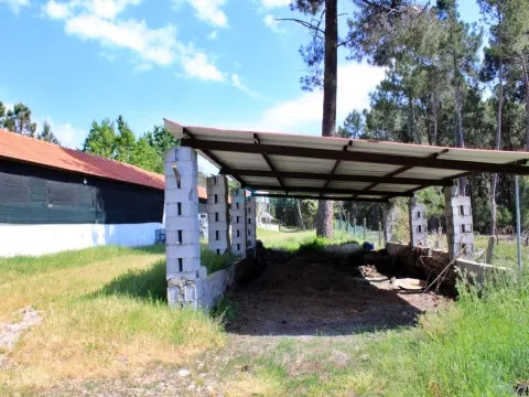 Terreno com exploração de cunicultura