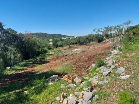 Terreno Rústico na Soalheira