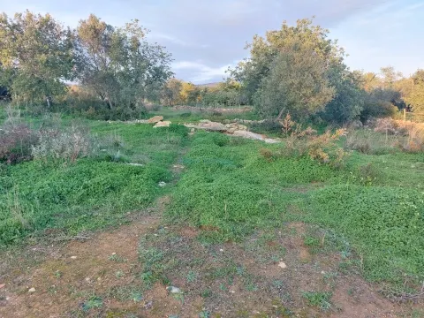 Terreno rustico de 3.040m2 perto de Estoi