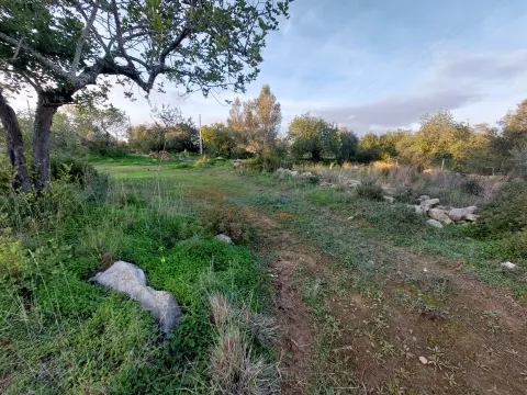 Terreno rustico de 3.040m2 perto de Estoi