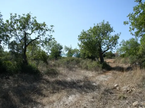 Rustic plot of 3.040 near Estoi