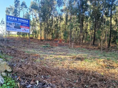 TERRENO PARA CONSTRUÇÃO, NEGREIROS, BARCELOS