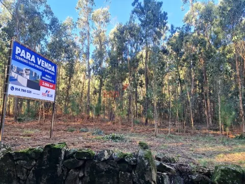 TERRENO PARA CONSTRUÇÃO, NEGREIROS, BARCELOS