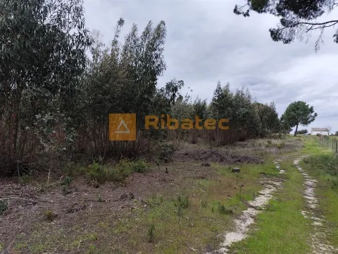 Terreno com viabilidade de construção