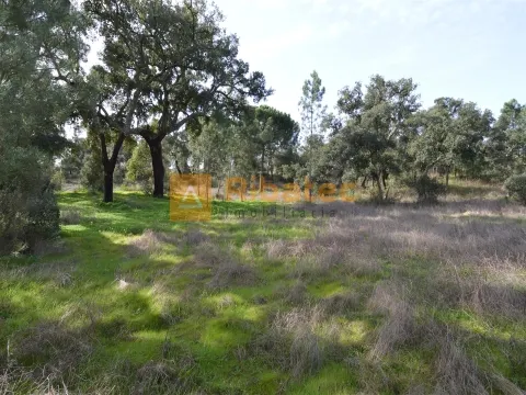 Terreno per Costruzione