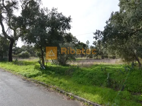 Terreno per Costruzione