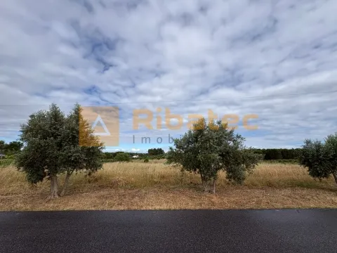 Real estate land