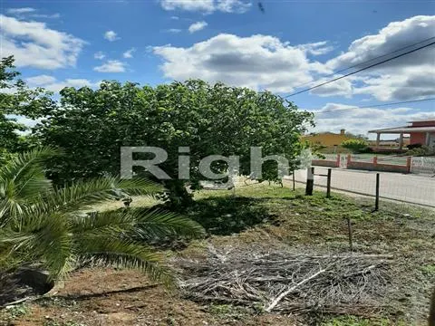 Moradia T3 com magnífico terreno em Santarém