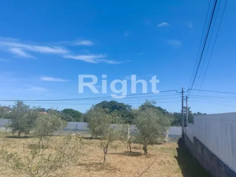 Plot of land in Barosa/Leiria