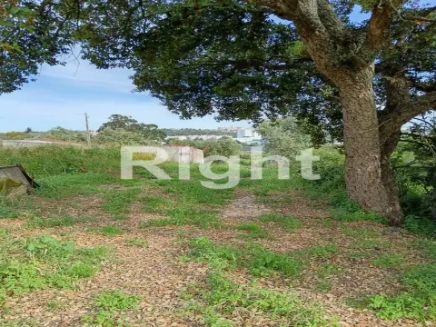 Land in Santarém