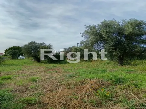 Land in Santarém