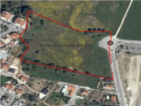 Oportunidade de investimento