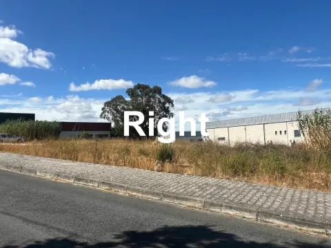 Real Estate building