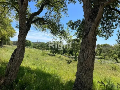 Terreno com 51.000m2 em Algueirão-Mem Martins
