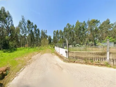 Excelente terreno rústico com PDM previsto para Terreno Industrial - 9.800 m2