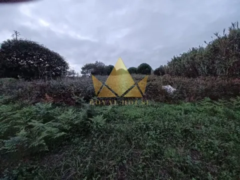 10721m2 Land for Sale in Batalha