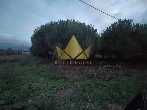 10721m2 Land for Sale in Batalha