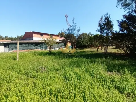 1,250 m² Rustic Land for Sale in Marinha Grande