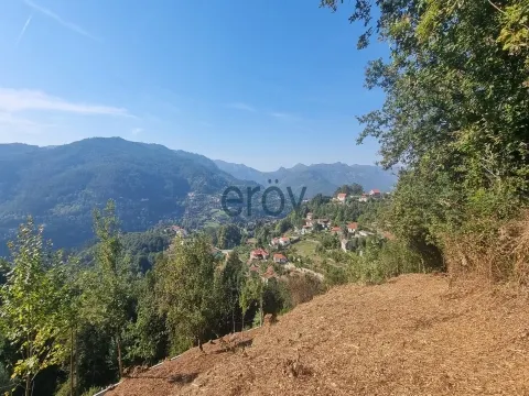 Real Estate building