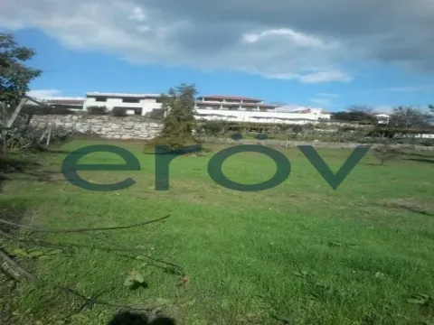 Piece of Real Estate