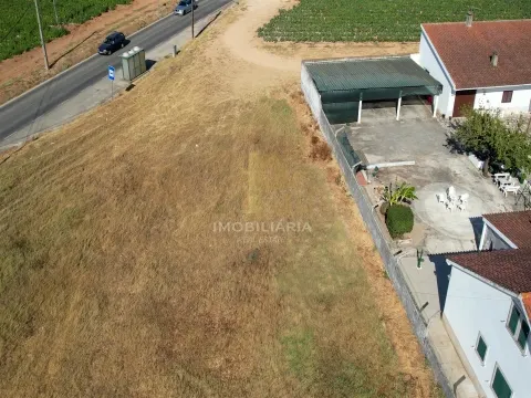 Real Estate building