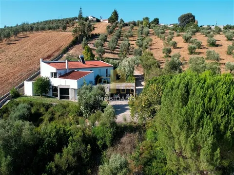 Quinta T5