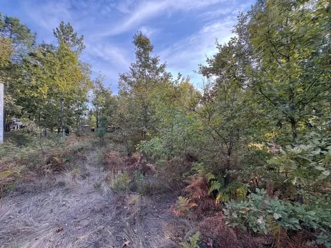 Terreno per Costruzione