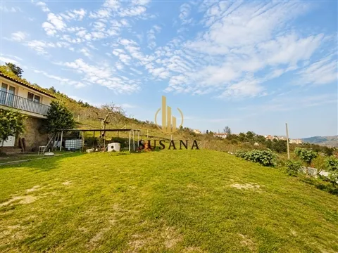 img_6