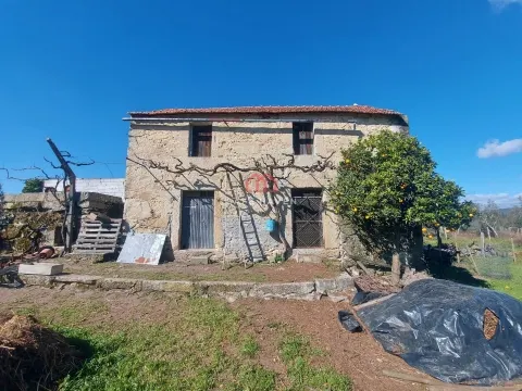 Quintinha T0, Viseu, Mangualde