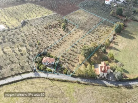 Terreno de 13.120 m² em Santa Comba, Seia