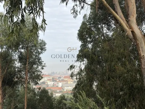 Terreno Para Construção