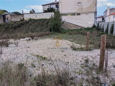 img_4