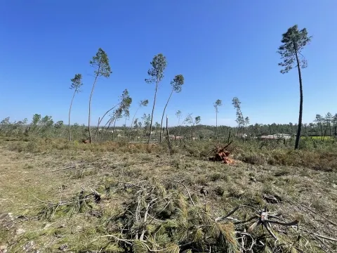 terreno-versadas-sarzedas-venda