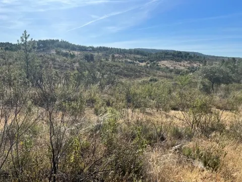 Terrain rural