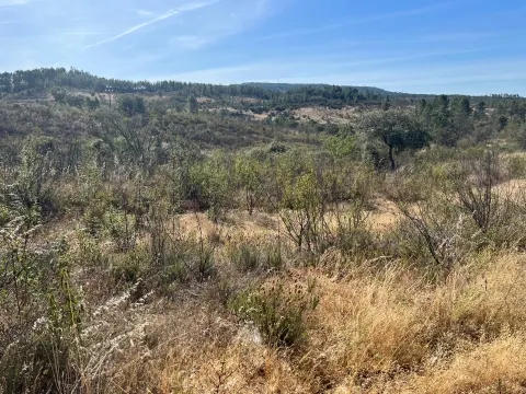 Terrain rural