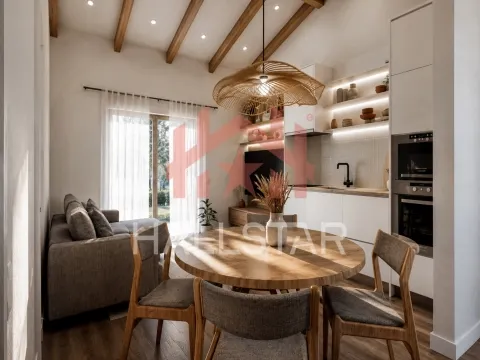 Appartement 1 Chambre(s)