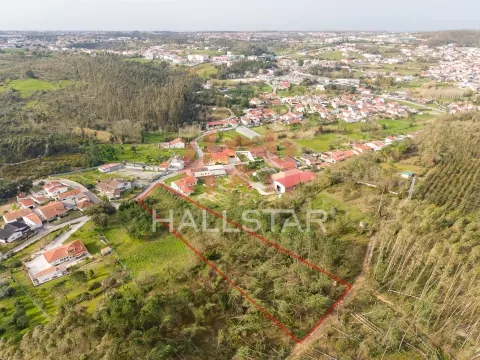 Terreno para Construção / Índice de 0.6 / Maceira
