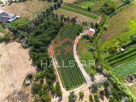 Terreno para construção / Área de 1848m² / Souto da Carpalhosa