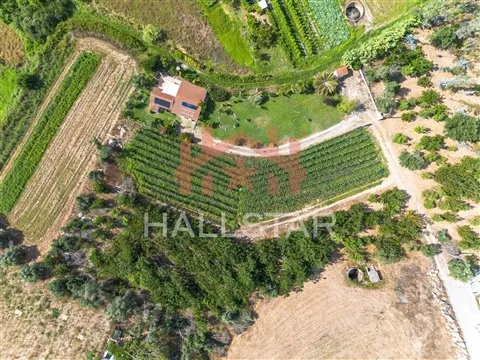 Terreno para construção / Área de 1848m² / Souto da Carpalhosa