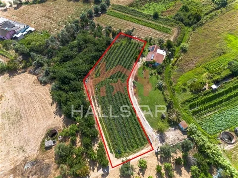 Terreno para construção / Área de 1848m² / Souto da Carpalhosa