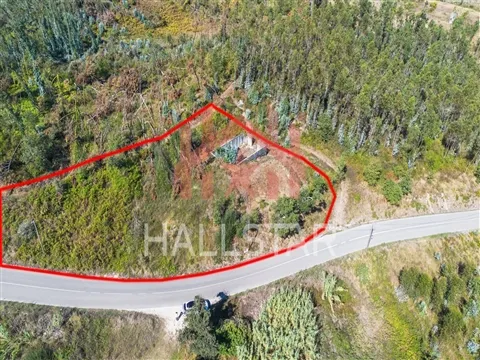 Lote de Terreno para Construção / 2.770m2 / Souto da Carpalhosa